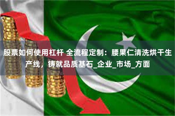 股票如何使用杠杆 全流程定制：腰果仁清洗烘干生产线，铸就品质基石_企业_市场_方面