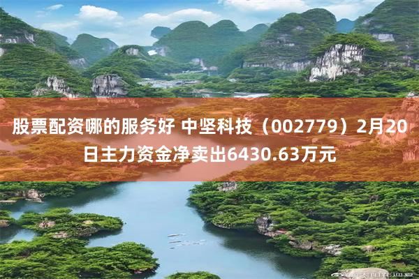 股票配资哪的服务好 中坚科技（002779）2月20日主力资金净卖出6430.63万元