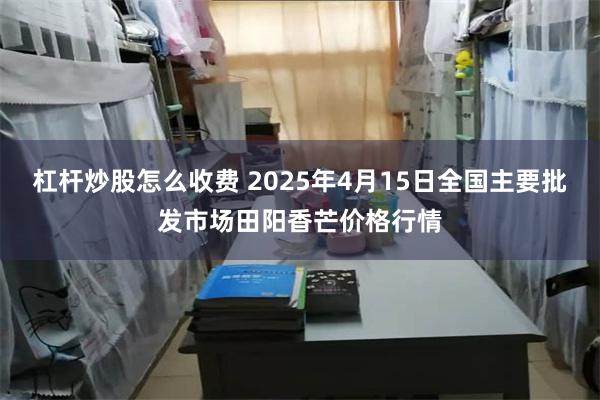 杠杆炒股怎么收费 2025年4月15日全国主要批发市场田阳香芒价格行情