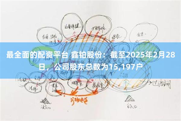 最全面的配资平台 鑫铂股份：截至2025年2月28日，公司股东总数为15,197户
