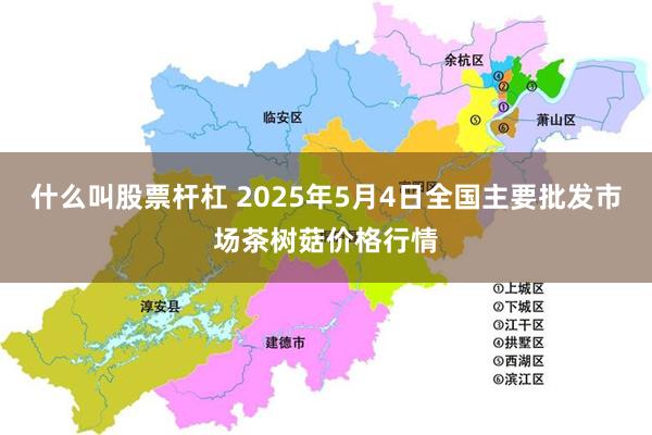 什么叫股票杆杠 2025年5月4日全国主要批发市场茶树菇价格行情