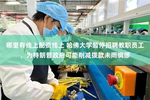 哪里有线上配资线上 哈佛大学暂停招聘教职员工，为特朗普政府可能削减拨款未雨绸缪