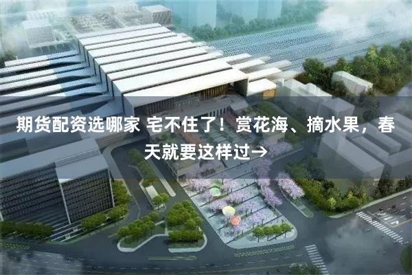 期货配资选哪家 宅不住了！赏花海、摘水果，春天就要这样过→