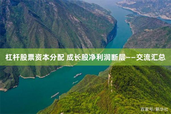杠杆股票资本分配 成长股净利润断层——交流汇总