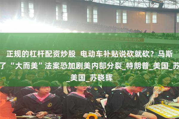 正规的杠杆配资炒股  电动车补贴说砍就砍？马斯克怒了 “大而美”法案恐加剧美内部分裂_特朗普_美国_苏晓晖