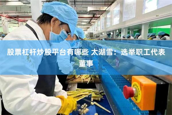 股票杠杆炒股平台有哪些 太湖雪：选举职工代表董事