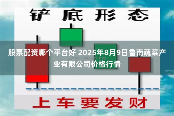 股票配资哪个平台好 2025年8月9日鲁南蔬菜产业有限公司价格行情