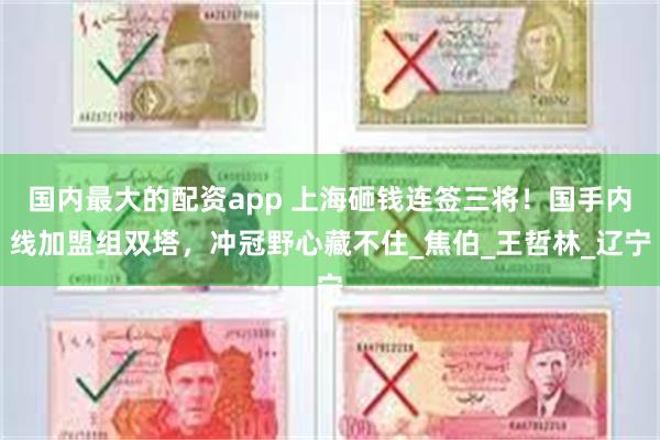 国内最大的配资app 上海砸钱连签三将！国手内线加盟组双塔，冲冠野心藏不住_焦伯_王哲林_辽宁