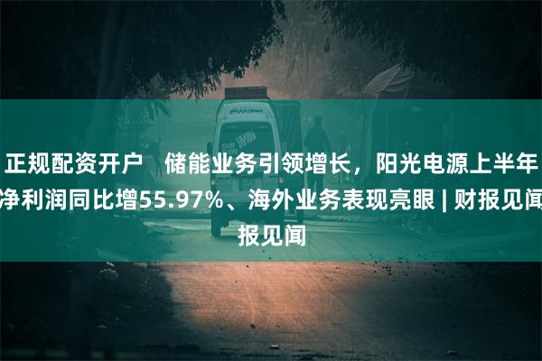 正规配资开户   储能业务引领增长，阳光电源上半年净利润同比增55.97%、海外业务表现亮眼 | 财报见闻