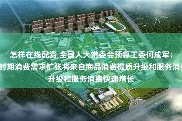 怎样在线配资 全国人大常委会预算工委何成军：“十五五”时期消费需求扩张将来自商品消费提质升级和服务消费快速增长