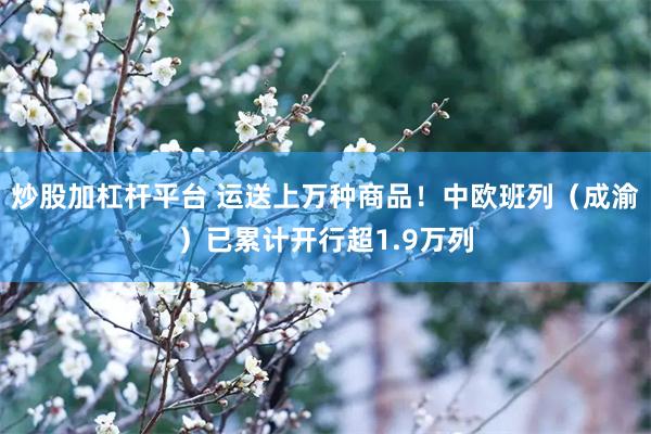 炒股加杠杆平台 运送上万种商品！中欧班列（成渝）已累计开行超1.9万列