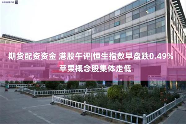 期货配资资金 港股午评|恒生指数早盘跌0.49%    苹果概念股集体走低