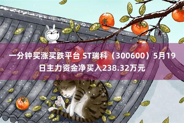 一分钟买涨买跌平台 ST瑞科（300600）5月19日主力资金净买入238.32万元