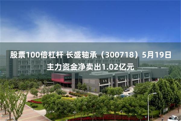 股票100倍杠杆 长盛轴承（300718）5月19日主力资金净卖出1.02亿元