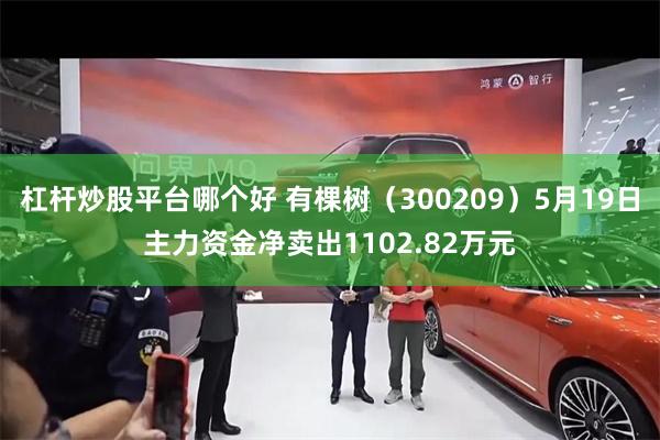 杠杆炒股平台哪个好 有棵树（300209）5月19日主力资金净卖出1102.82万元