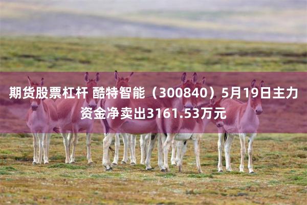 期货股票杠杆 酷特智能（300840）5月19日主力资金净卖出3161.53万元