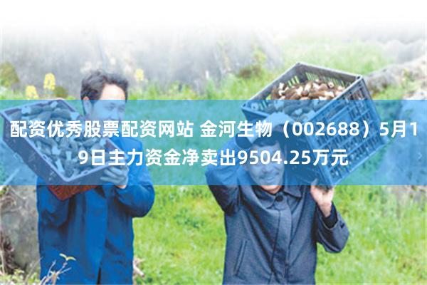 配资优秀股票配资网站 金河生物（002688）5月19日主力资金净卖出9504.25万元