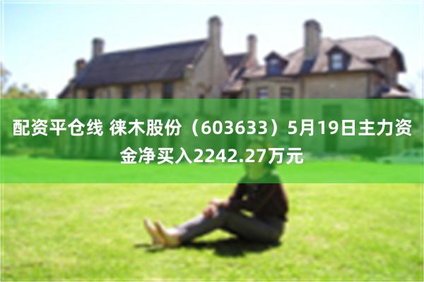 配资平仓线 徕木股份（603633）5月19日主力资金净买入2242.27万元