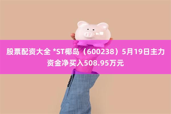 股票配资大全 *ST椰岛（600238）5月19日主力资金净买入508.95万元