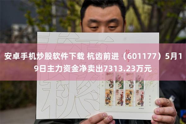 安卓手机炒股软件下载 杭齿前进（601177）5月19日主力资金净卖出7313.23万元