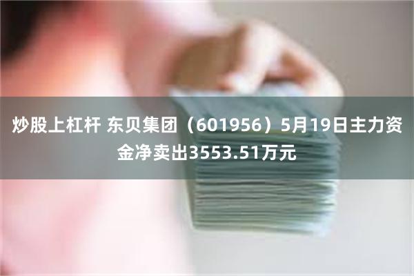 炒股上杠杆 东贝集团（601956）5月19日主力资金净卖出3553.51万元