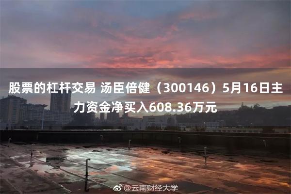 股票的杠杆交易 汤臣倍健（300146）5月16日主力资金净买入608.36万元