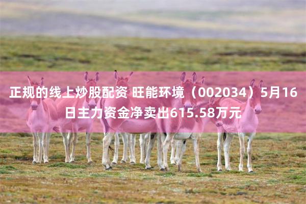 正规的线上炒股配资 旺能环境（002034）5月16日主力资金净卖出615.58万元