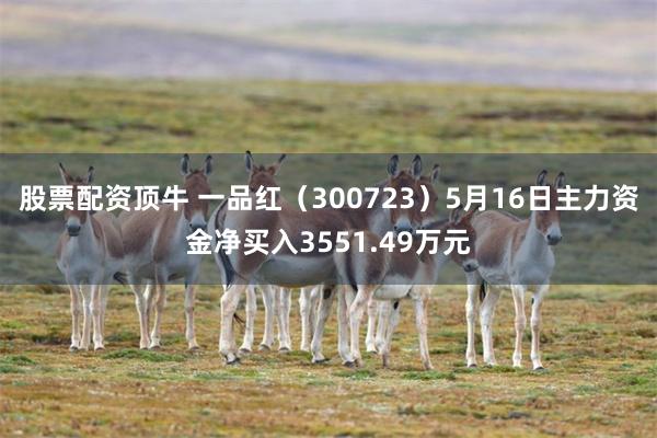 股票配资顶牛 一品红（300723）5月16日主力资金净买入3551.49万元