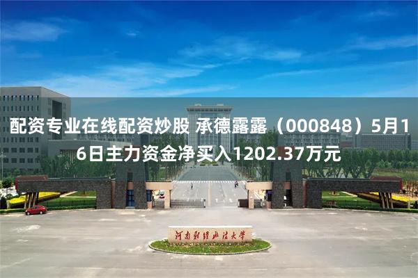 配资专业在线配资炒股 承德露露（000848）5月16日主力资金净买入1202.37万元