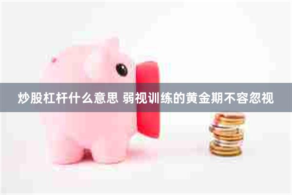 炒股杠杆什么意思 弱视训练的黄金期不容忽视