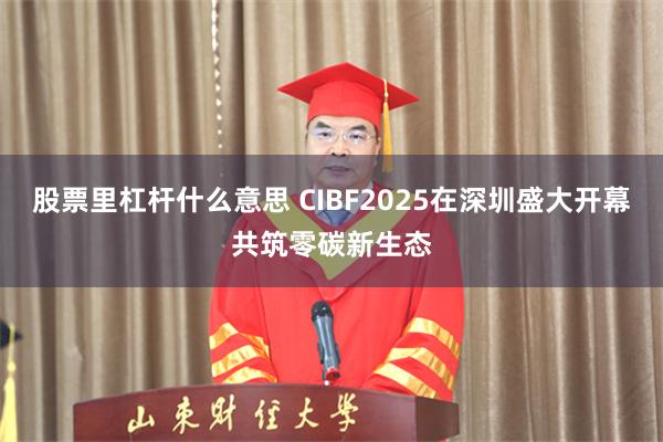 股票里杠杆什么意思 CIBF2025在深圳盛大开幕共筑零碳新生态