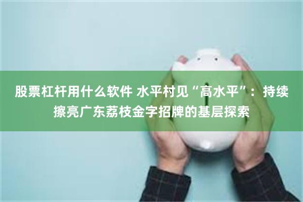 股票杠杆用什么软件 水平村见“高水平”：持续擦亮广东荔枝金字招牌的基层探索