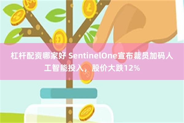 杠杆配资哪家好 SentinelOne宣布裁员加码人工智能投入，股价大跌12%