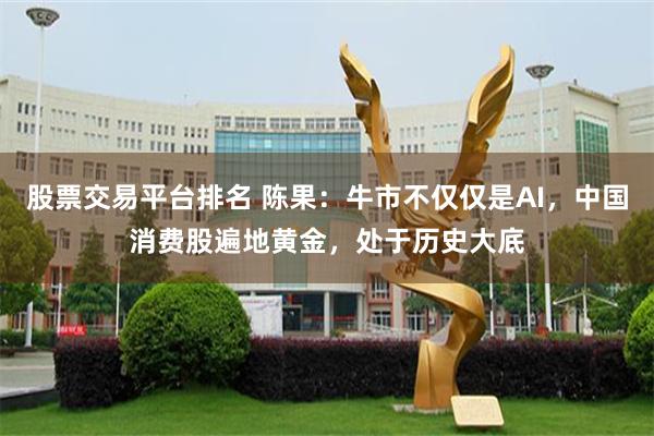 股票交易平台排名 陈果：牛市不仅仅是AI，中国消费股遍地黄金，处于历史大底
