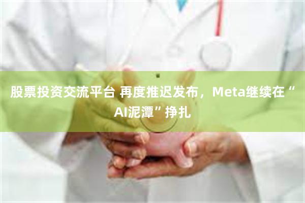 股票投资交流平台 再度推迟发布，Meta继续在“AI泥潭”挣扎