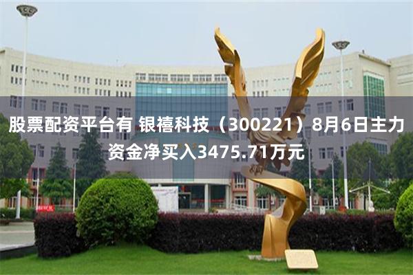 股票配资平台有 银禧科技(300221)8月6日主力资金净买入3475.71万元