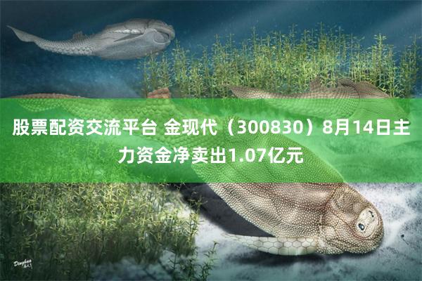 股票配资交流平台 金现代（300830）8月14日主力资金净卖出1.07亿元