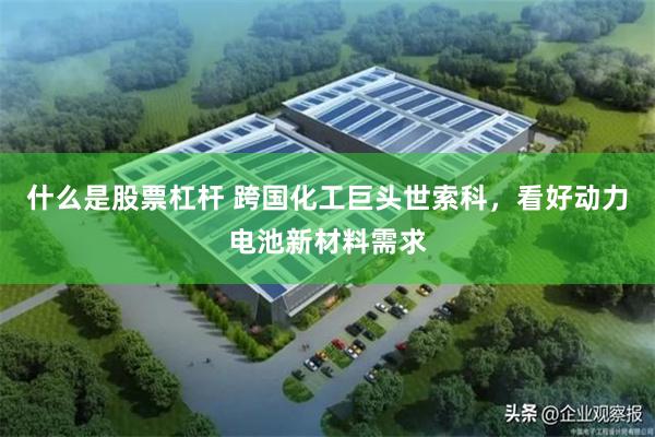 什么是股票杠杆 跨国化工巨头世索科，看好动力电池新材料需求