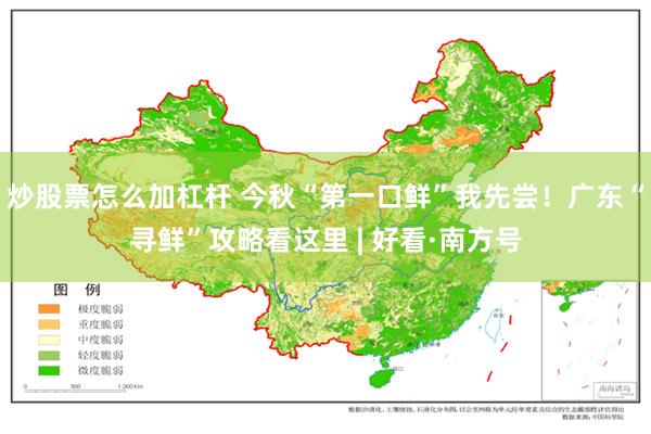 炒股票怎么加杠杆 今秋“第一口鲜”我先尝!广东“寻鲜”攻略看这里 | 好看·南方号