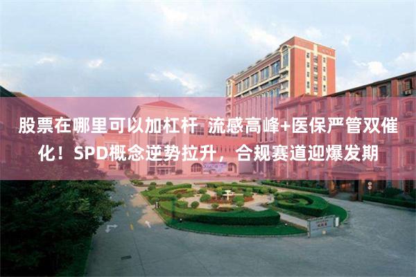 股票在哪里可以加杠杆  流感高峰+医保严管双催化！SPD概念逆势拉升，合规赛道迎爆发期