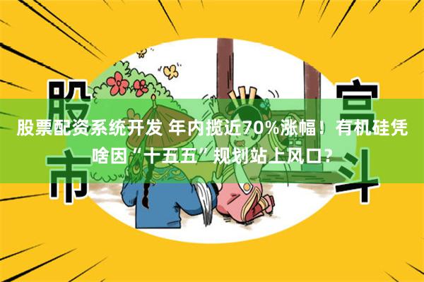 股票配资系统开发 年内揽近70%涨幅！有机硅凭啥因“十五五”规划站上风口？