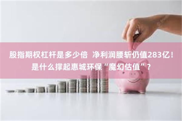 股指期权杠杆是多少倍 净利润腰斩仍值283亿!是什么撑起惠城环保“魔幻估值”?