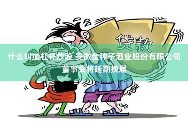什么叫加杠杆炒股 安徽金种子酒业股份有限公司董事会将延期换届