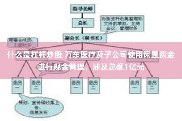 什么是杠杆炒股 万东医疗及子公司使用闲置资金进行现金管理，涉及总额1亿元