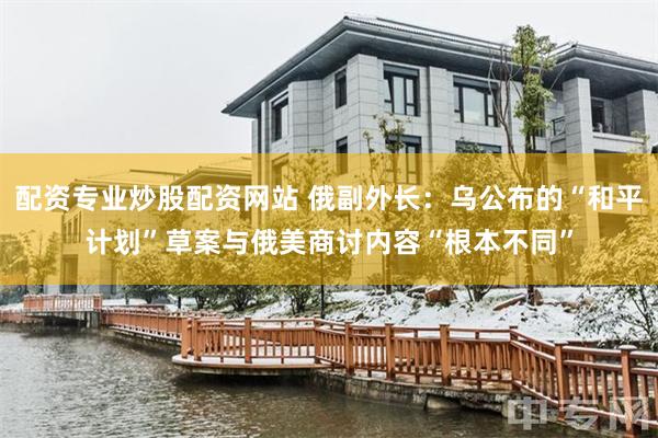 配资专业炒股配资网站 俄副外长：乌公布的“和平计划”草案与俄美商讨内容“根本不同”