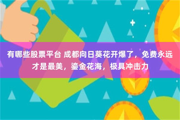 有哪些股票平台 成都向日葵花开爆了，免费永远才是最美，鎏金花海，极具冲击力