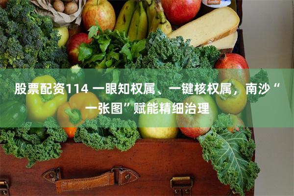 股票配资114 一眼知权属、一键核权属,南沙“一张图”赋能精细治理