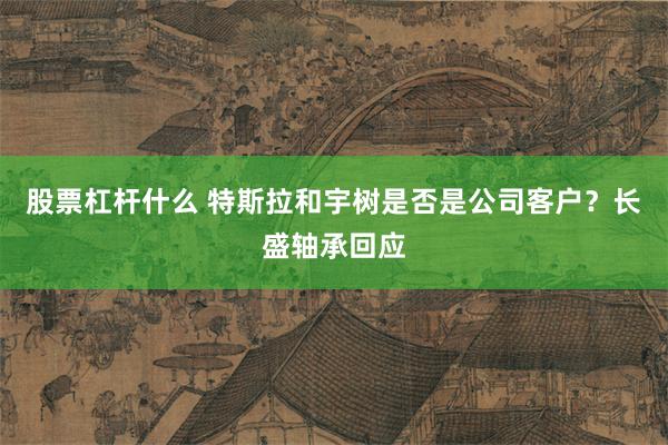 股票杠杆什么 特斯拉和宇树是否是公司客户？长盛轴承回应
