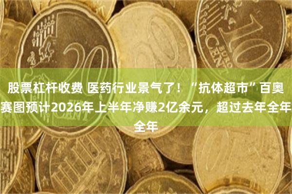 股票杠杆收费 医药行业景气了！“抗体超市”百奥赛图预计2026年上半年净赚2亿余元，超过去年全年