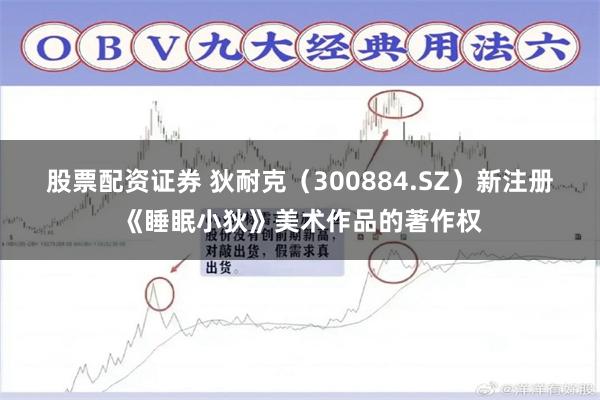 股票配资证券 狄耐克(300884.SZ)新注册《睡眠小狄》美术作品的著作权